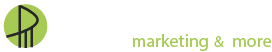 Promotional Insights Logo